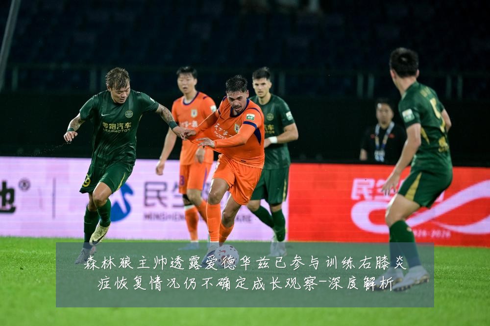 森林狼主帅透露爱德华兹已参与训练右膝炎症恢复情况仍不确定成长观察-深度解析